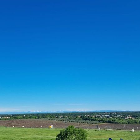 Apartmani Ritosa Novigrad Istria Esterno foto